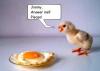 Funny Picture (49)